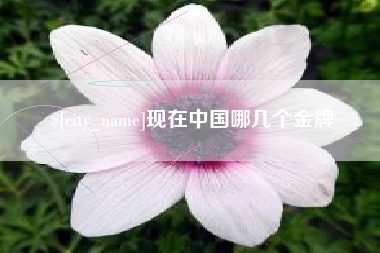 金坛现在中国哪几个金牌