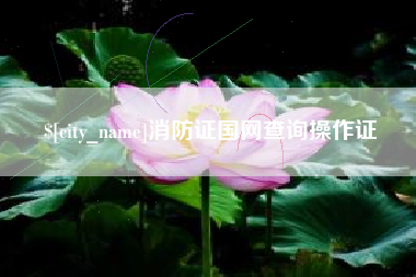 金坛消防证国网查询操作证