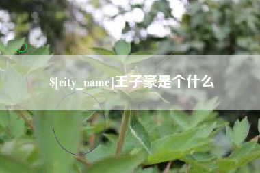 金坛王子豪是个什么