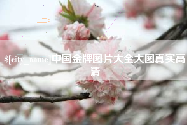 金坛中国金牌图片大全大图真实高清