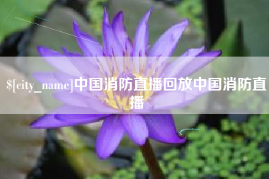 金坛中国消防直播回放中国消防直播