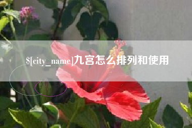 金坛九宫怎么排列和使用