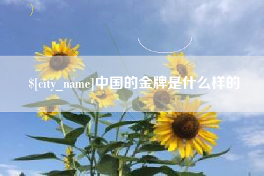金坛中国的金牌是什么样的