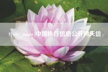 金坛中国执行信息公开网失信