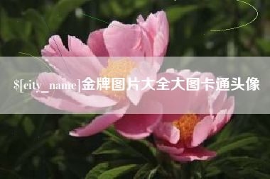 金坛金牌图片大全大图卡通头像