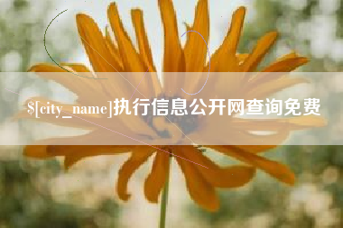金坛执行信息公开网查询免费
